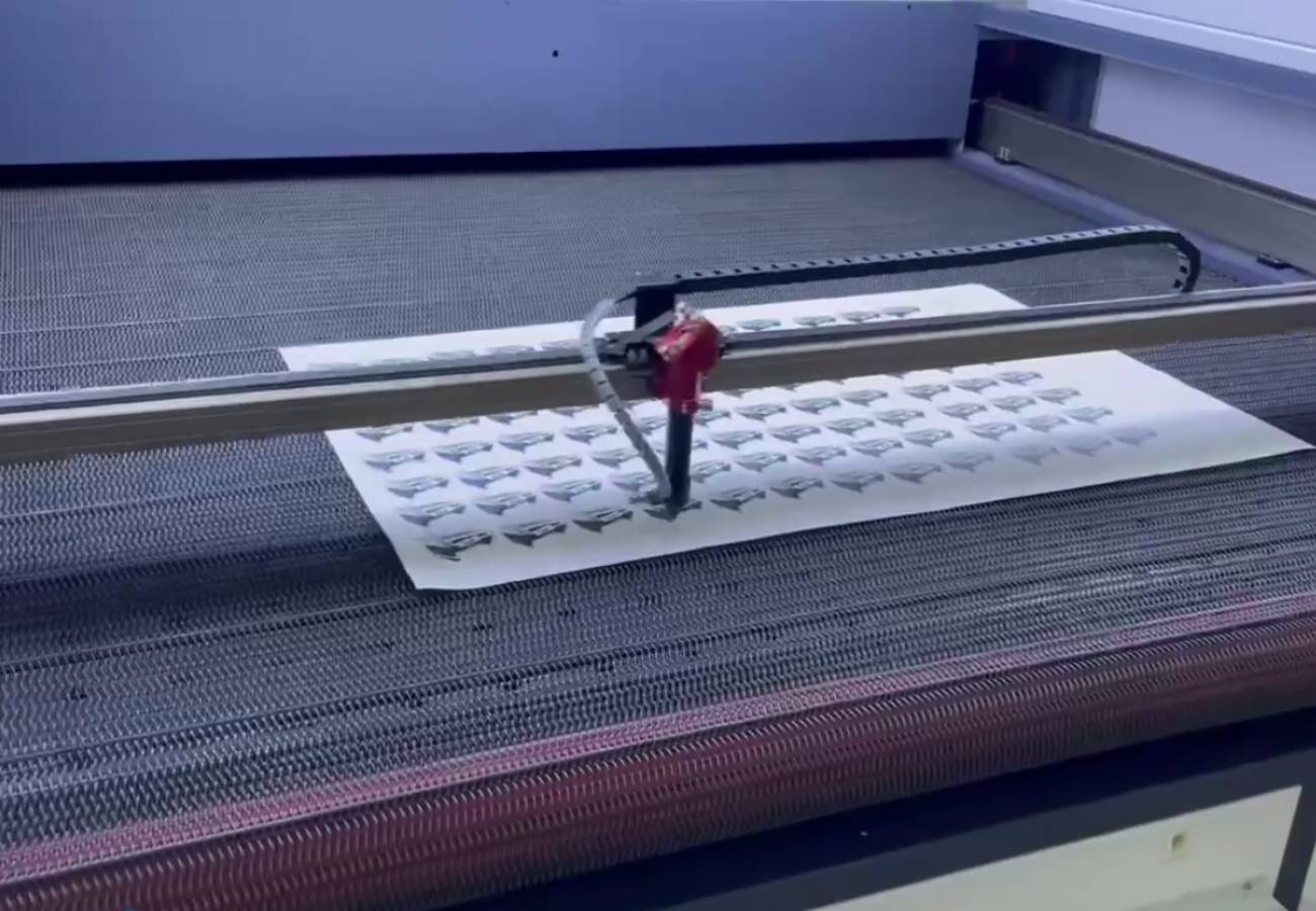auto feeding laser cutter